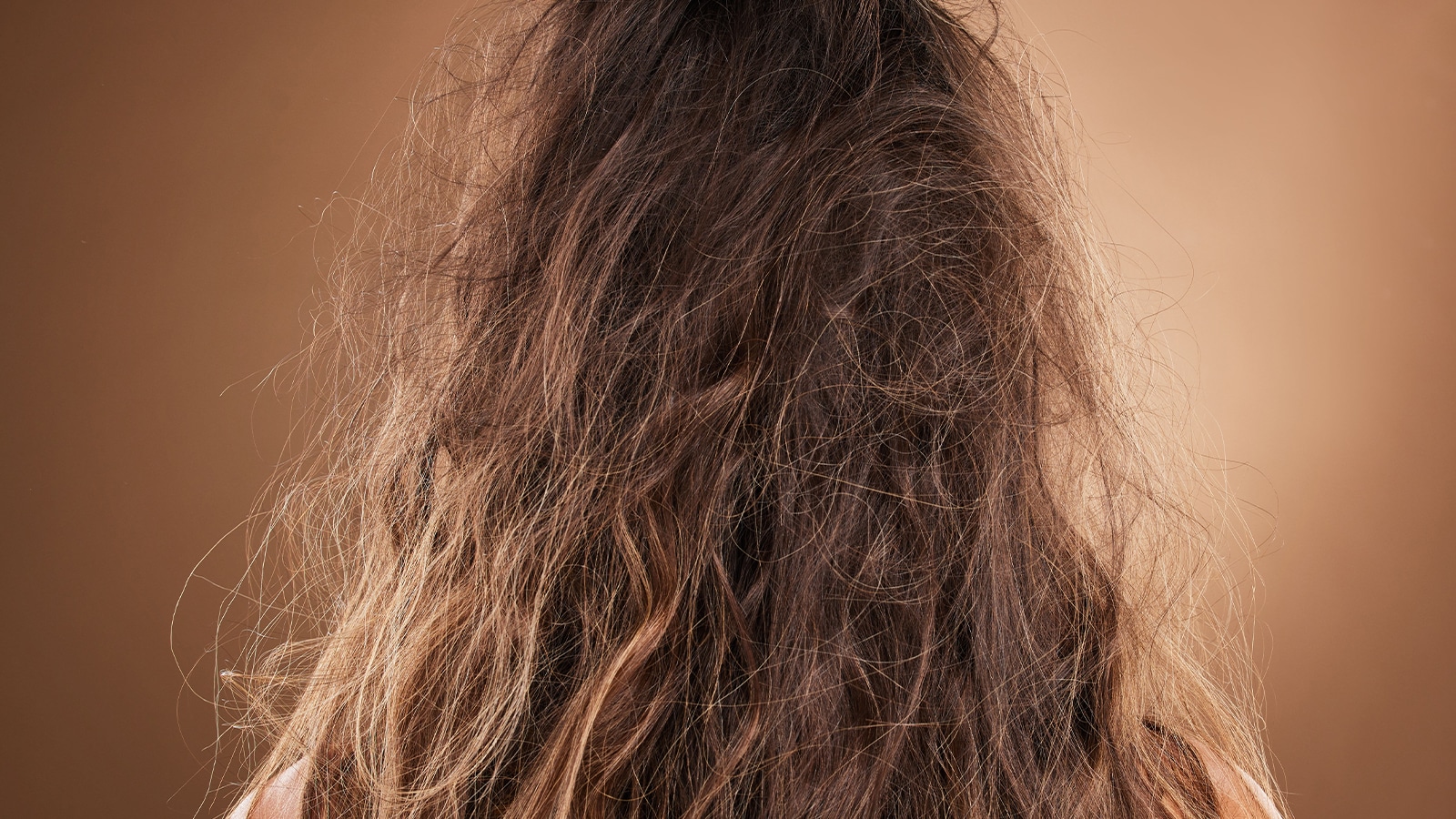 Frazzled damaged hair