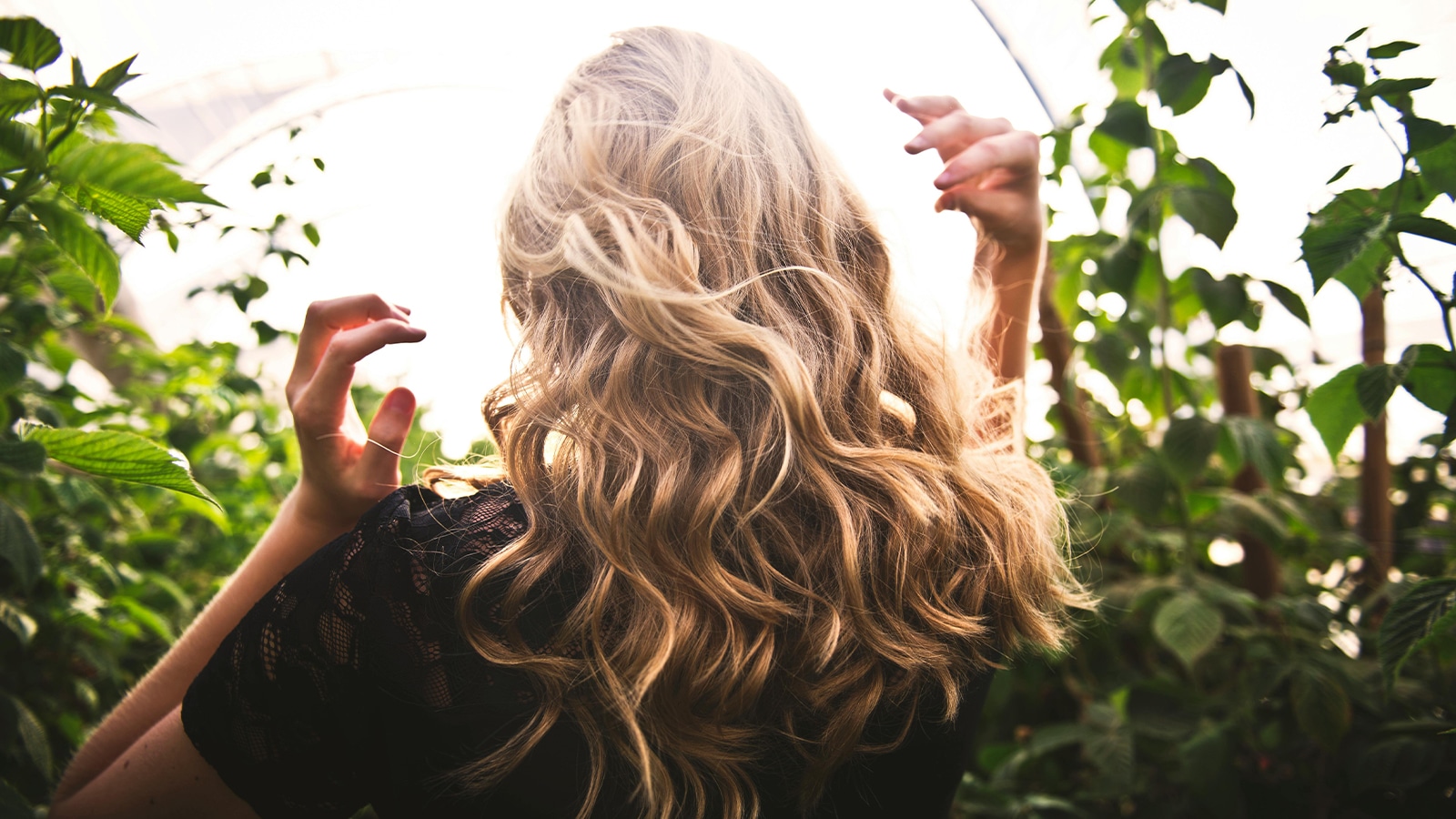 Hair Extensions Green Bushes